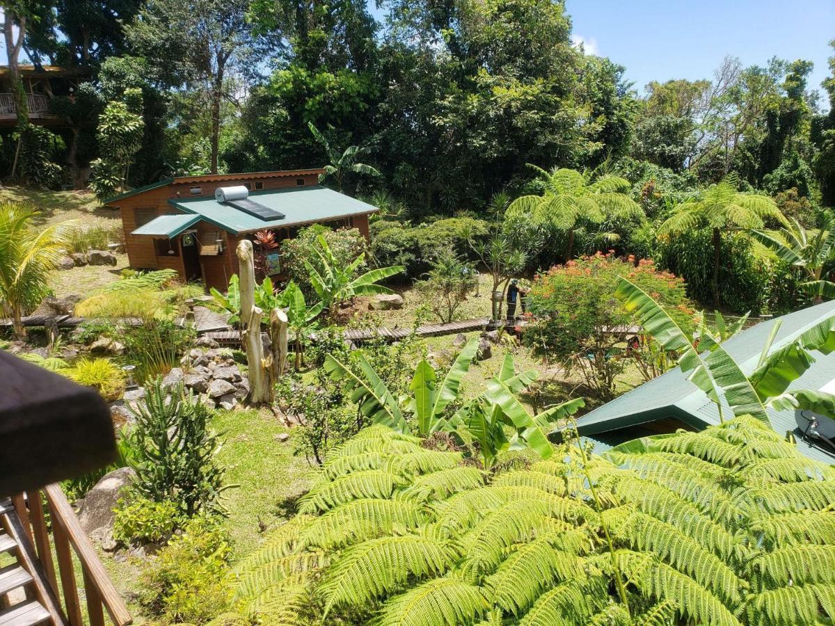 Les Bananes Vertes Ecolodges サン・クロード エクステリア 写真