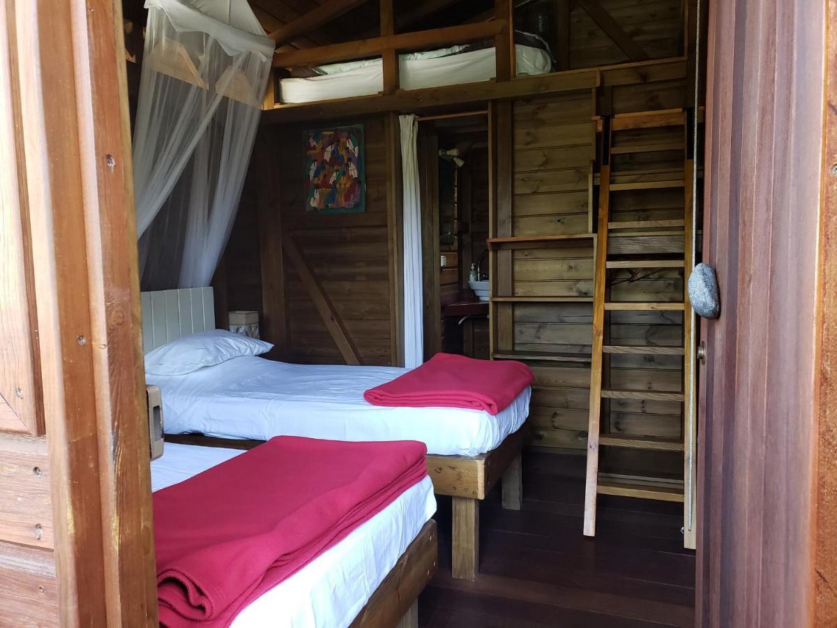 Les Bananes Vertes Ecolodges サン・クロード エクステリア 写真