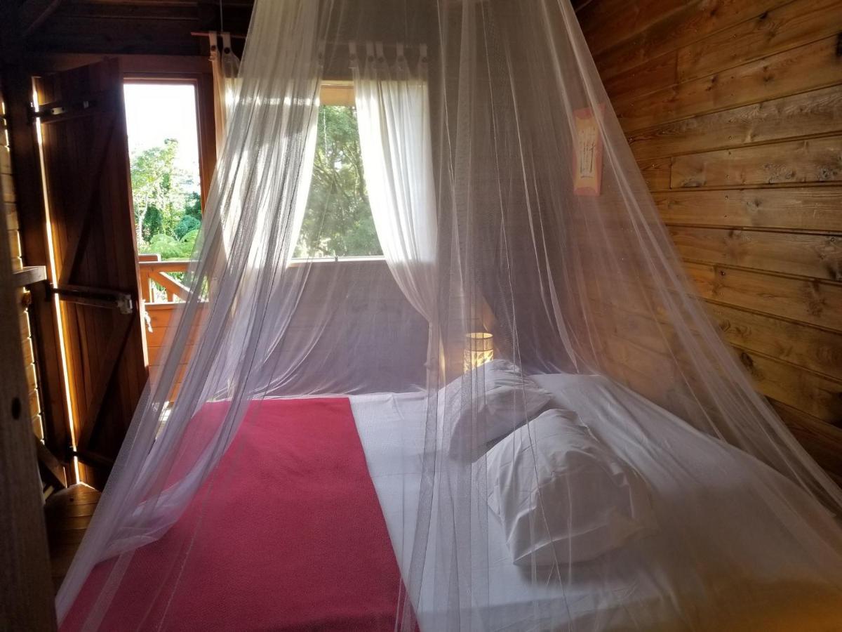 Les Bananes Vertes Ecolodges サン・クロード エクステリア 写真