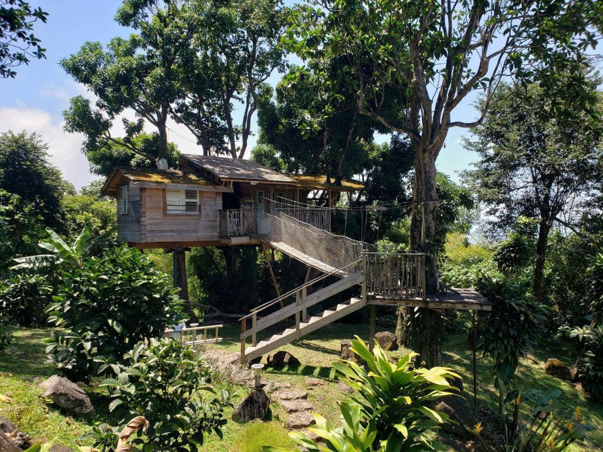 Les Bananes Vertes Ecolodges サン・クロード エクステリア 写真