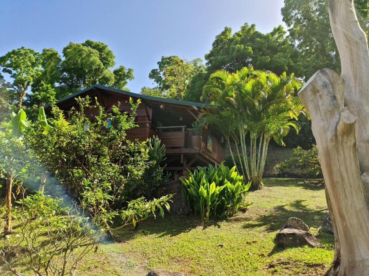 Les Bananes Vertes Ecolodges サン・クロード エクステリア 写真