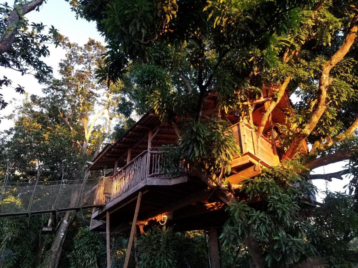 Les Bananes Vertes Ecolodges サン・クロード エクステリア 写真