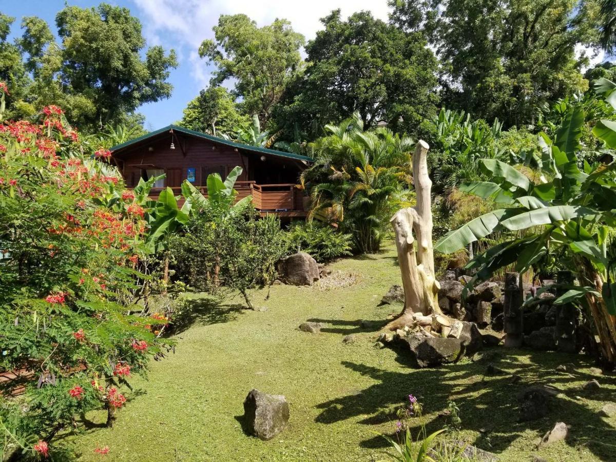Les Bananes Vertes Ecolodges サン・クロード エクステリア 写真