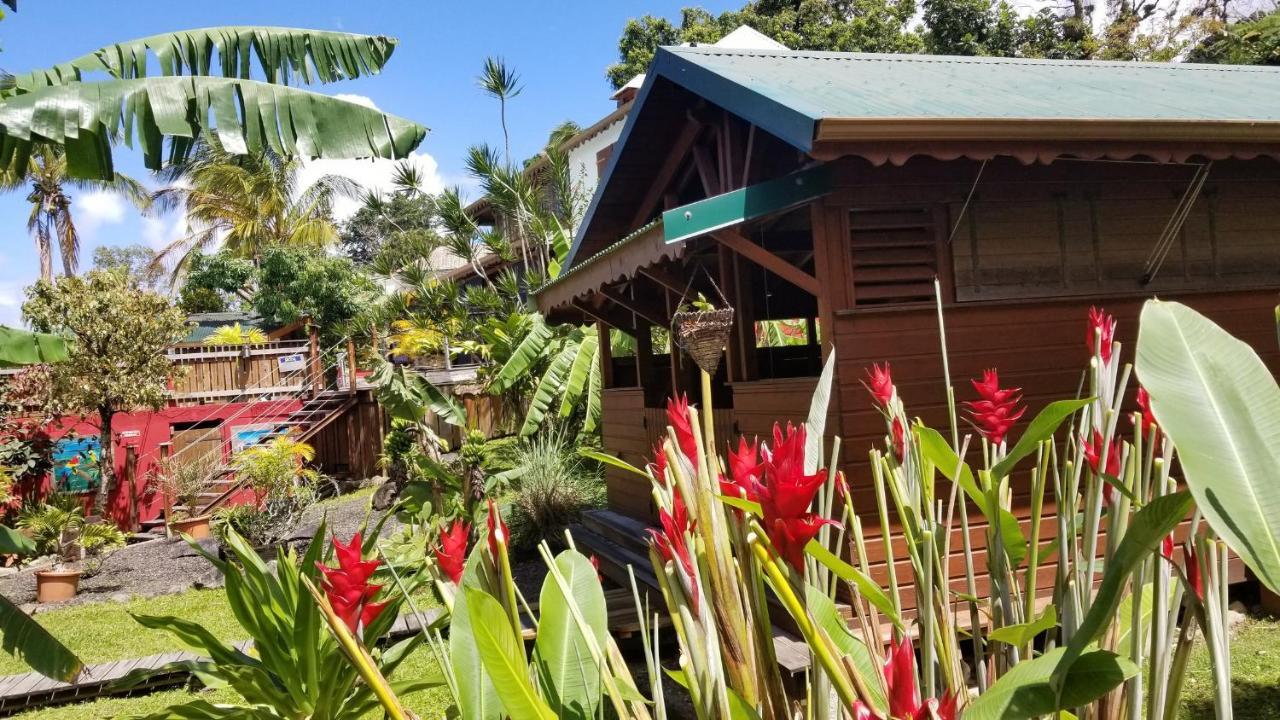 Les Bananes Vertes Ecolodges サン・クロード エクステリア 写真