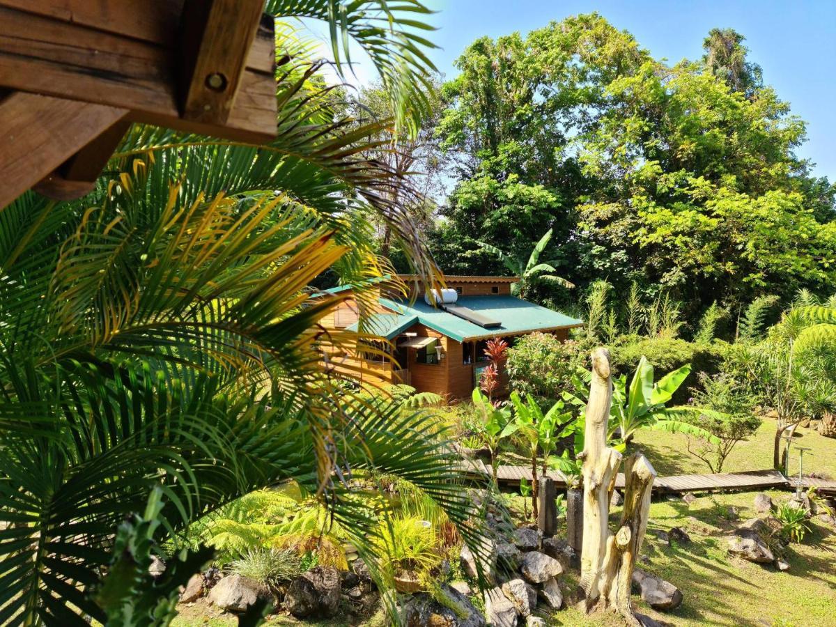 Les Bananes Vertes Ecolodges サン・クロード エクステリア 写真