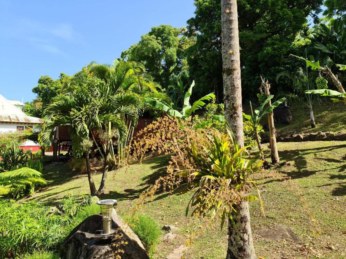 Les Bananes Vertes Ecolodges サン・クロード エクステリア 写真
