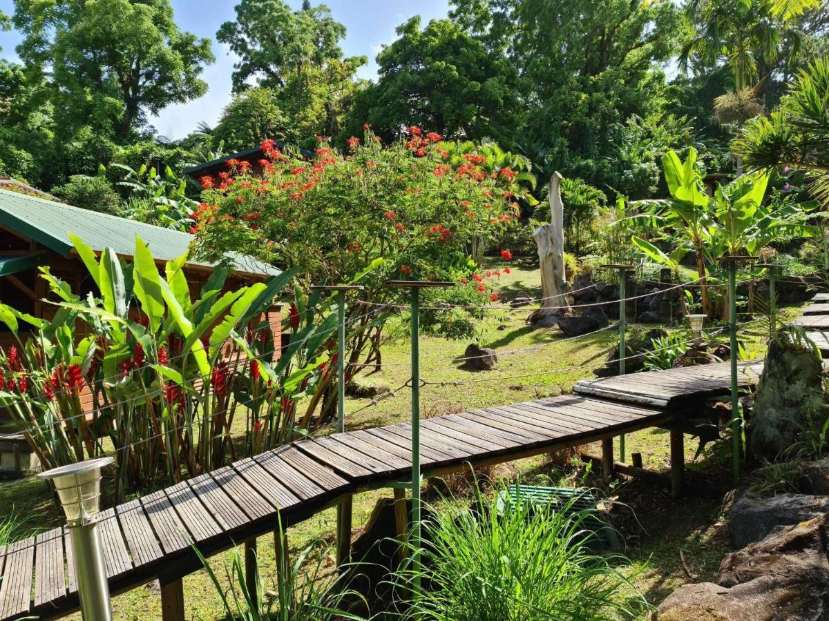Les Bananes Vertes Ecolodges サン・クロード エクステリア 写真