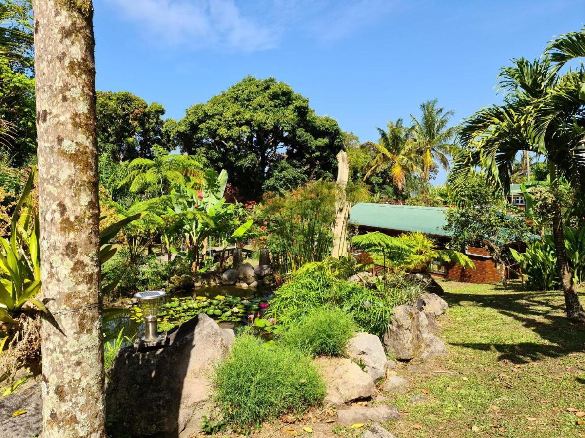 Les Bananes Vertes Ecolodges サン・クロード エクステリア 写真