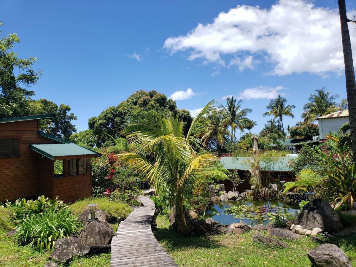 Les Bananes Vertes Ecolodges サン・クロード エクステリア 写真