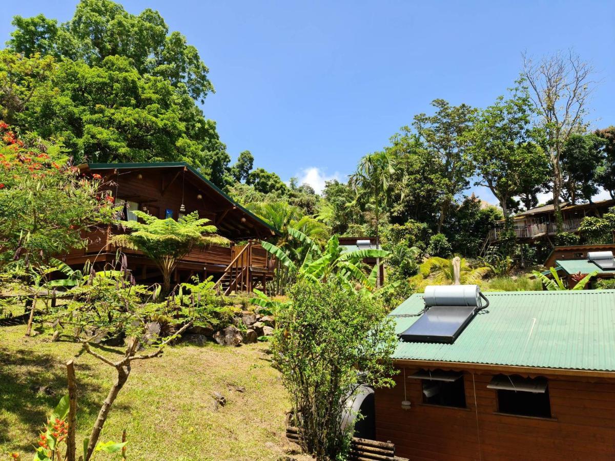 Les Bananes Vertes Ecolodges サン・クロード エクステリア 写真