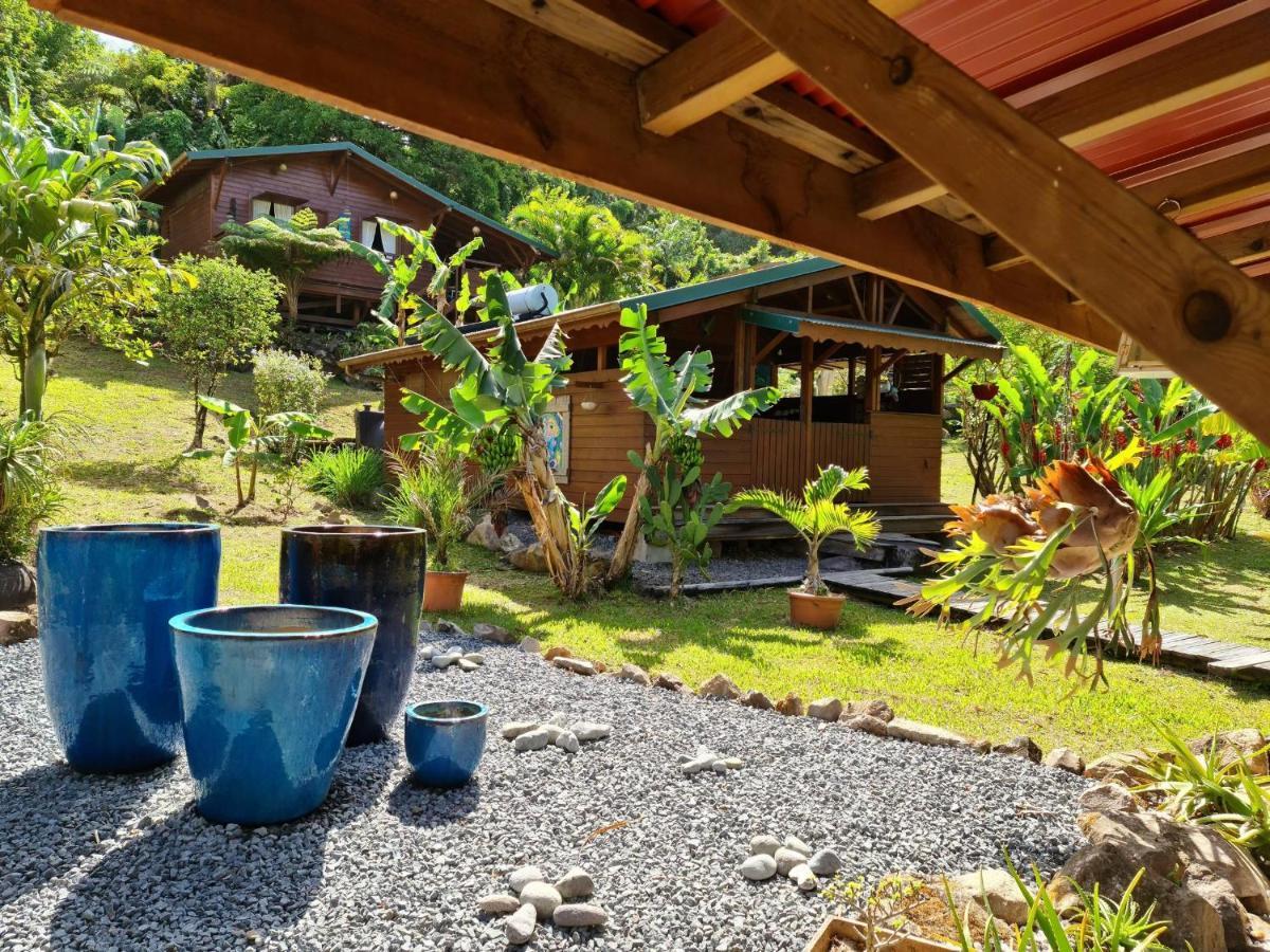 Les Bananes Vertes Ecolodges サン・クロード エクステリア 写真