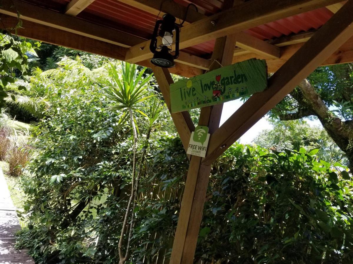 Les Bananes Vertes Ecolodges サン・クロード エクステリア 写真
