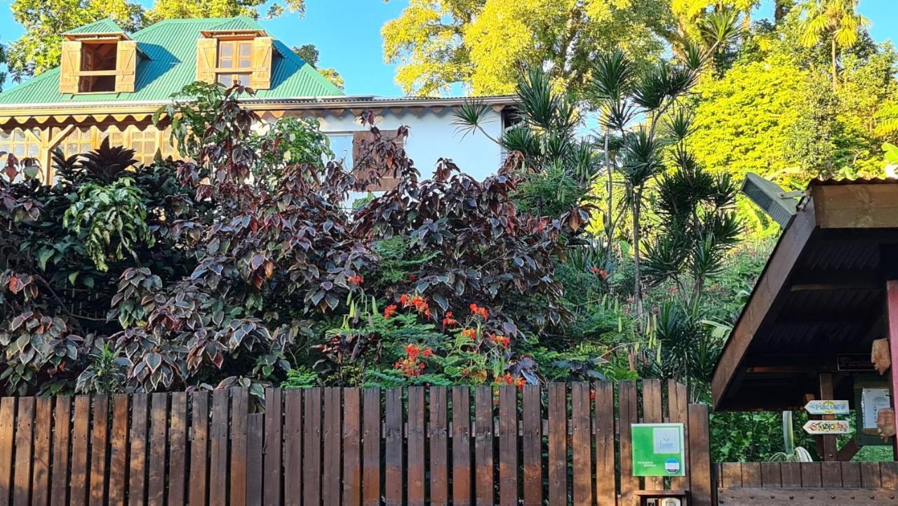 Les Bananes Vertes Ecolodges サン・クロード エクステリア 写真