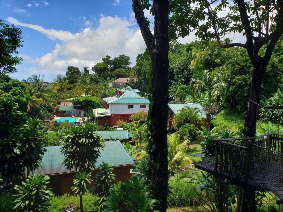 Les Bananes Vertes Ecolodges サン・クロード エクステリア 写真