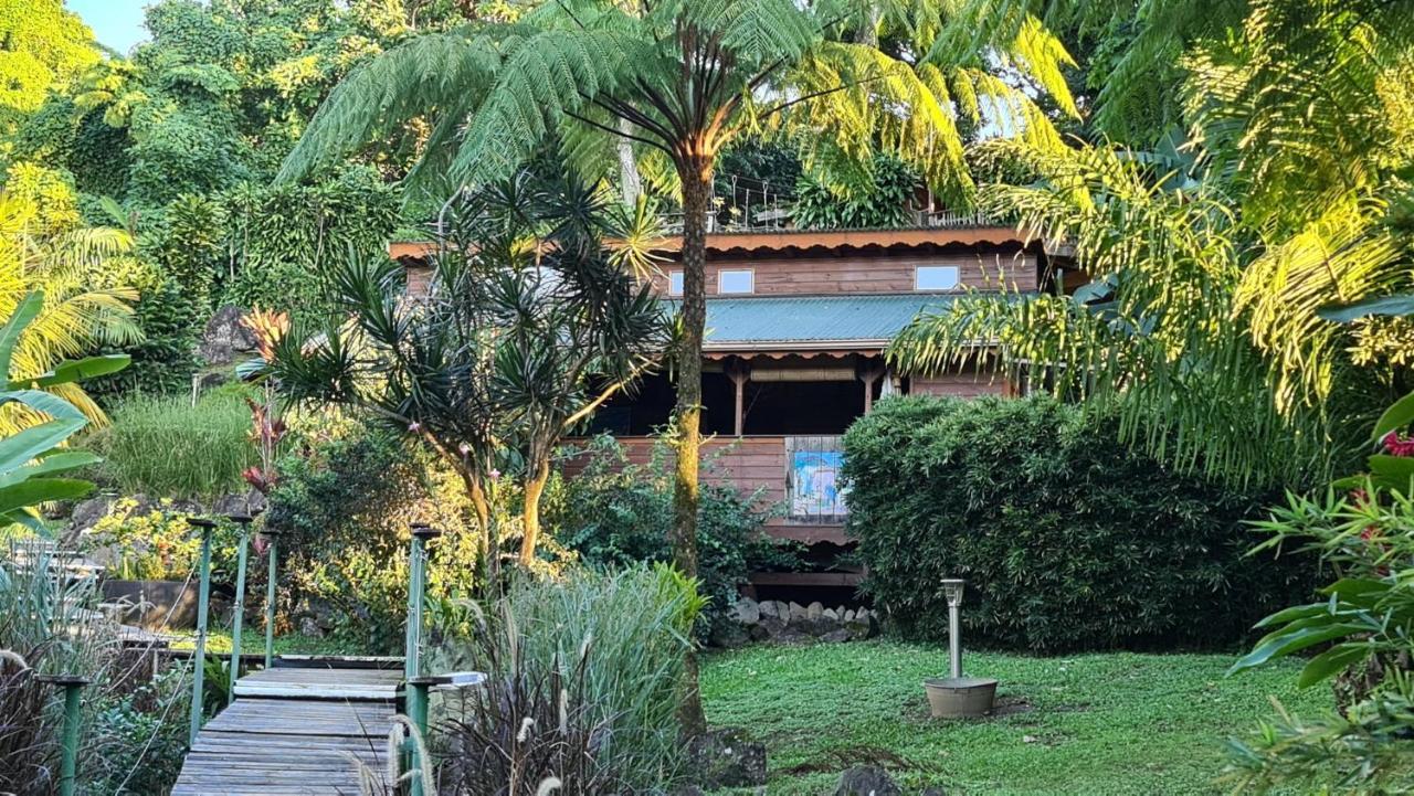 Les Bananes Vertes Ecolodges サン・クロード エクステリア 写真